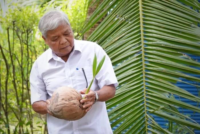 Ông Trần Trường Vũ, nguyên Chủ tịch, Bí thư xã Nghĩa Hòa cũ, bên vườn ươm của Bãi Dừa. Ảnh: Phạm Linh