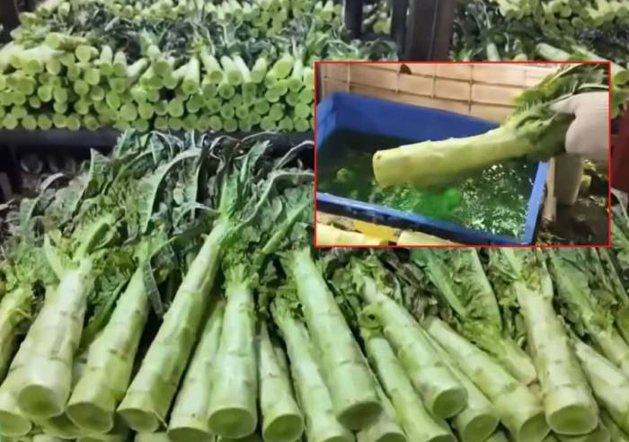 Rau diếp được nhuộm bằng phẩm màu xanh hoa quả (Fruit Green) nhằm giữ độ tươi ngon và bắt mắt cho sản phẩm. Ảnh: Weibo @CCTVNews)