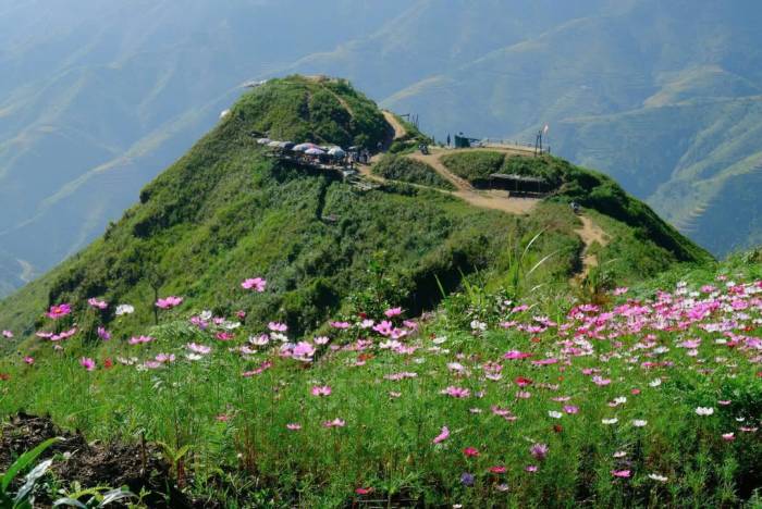 Một góc vườn hoa hướng ra khu vực Sống lưng khủng long. Ảnh: Tasuastories