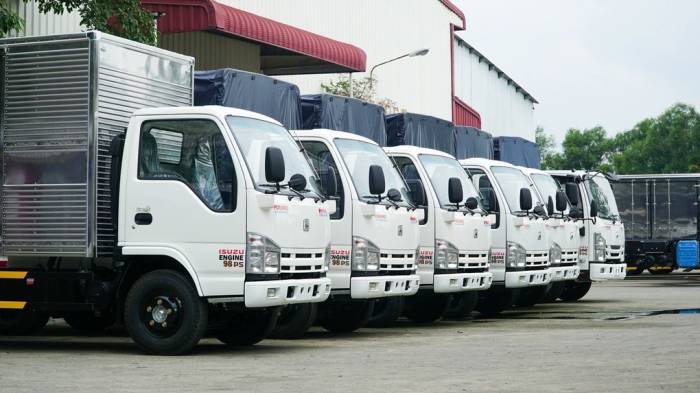 Một dòng xe tải do VM Motors sản xuất. Ảnh: VM Motors.