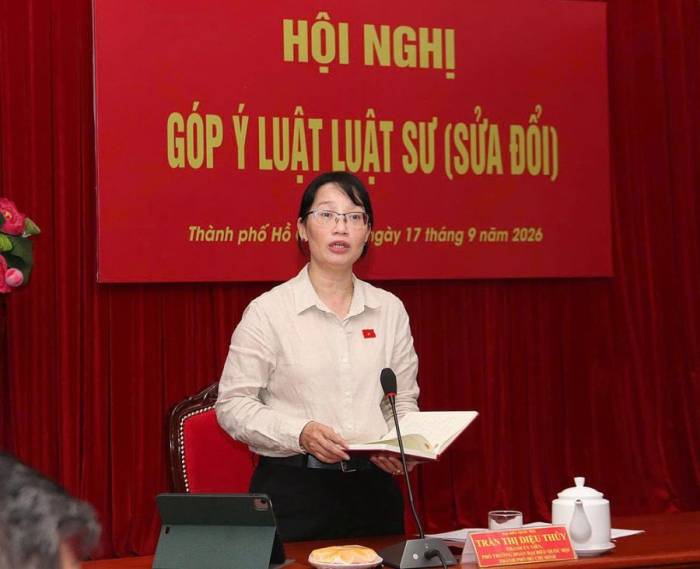 Bà Trần Thị Diệu Thúy phát biểu tổng kết hội nghị. Ảnh: Hải Duyên