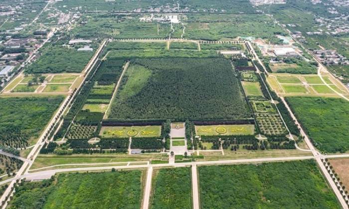 Di tích khảo cổ lăng mộ hoàng đế Tần Thủy Hoàng nhìn từ trên cao. Ảnh: China Daily