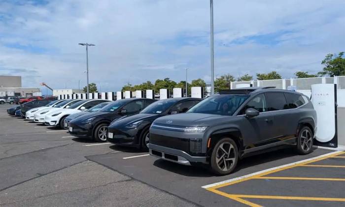 Xe điện Hyundai Ioniq 9 (ngoài cùng bên phải) cùng các mẫu xe điện Tesla tại trạm sạc của Tesla. Ảnh: Suvrat Kothari