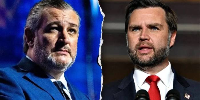 Thượng nghị sĩ Cộng hòa Ted Cruz của bang Texas (trái) và Phó tổng thống Mỹ JD Vance. Ảnh: Fox