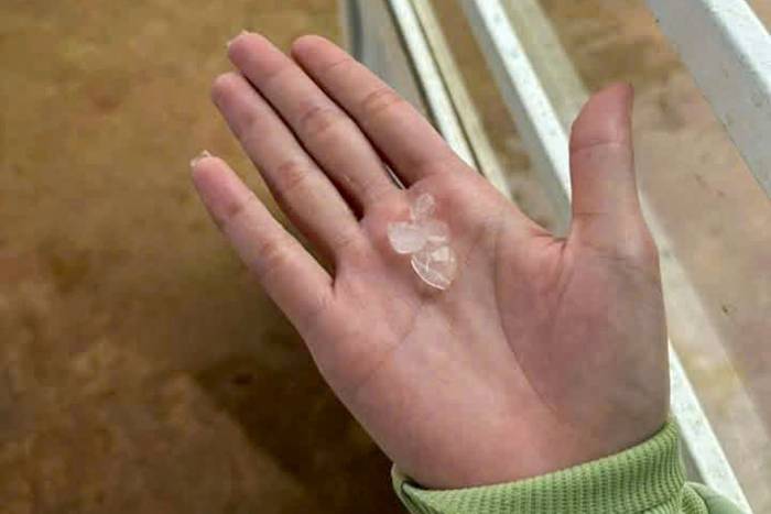 Hạt đá người dân nhặt được trước khi mưa to trút xuống. Ảnh: Khánh Hương