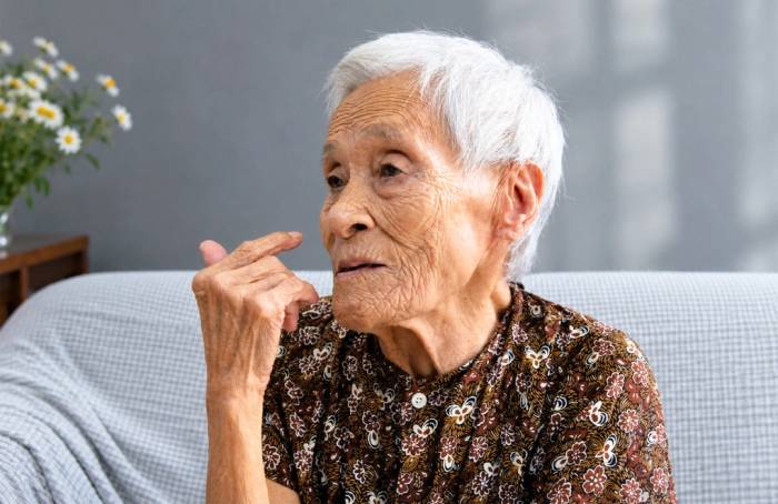 Bà Nguyễn Thị Tình, nguyên Trung đội trưởng Trung đội nữ dân quân phòng không Lam Hạ. Ảnh: Lam Sơn