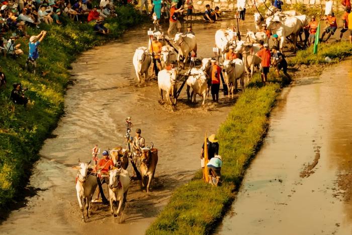 Đại cảnh hơn 5.000 người trong phim 'Trại buôn người'