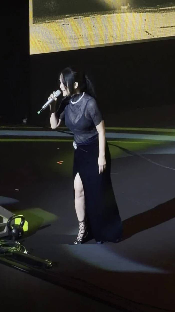Ca sĩ Hồng Nhung hát 'Nỗi buồn'