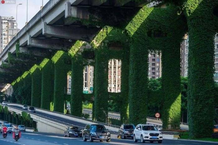 Khoảng xanh được trồng bao quanh các trụ cầu trên đường vành đai 2 tại Thành Đô, tỉnh Tứ Xuyên, Trung Quốc. Ảnh: China Plus Culture