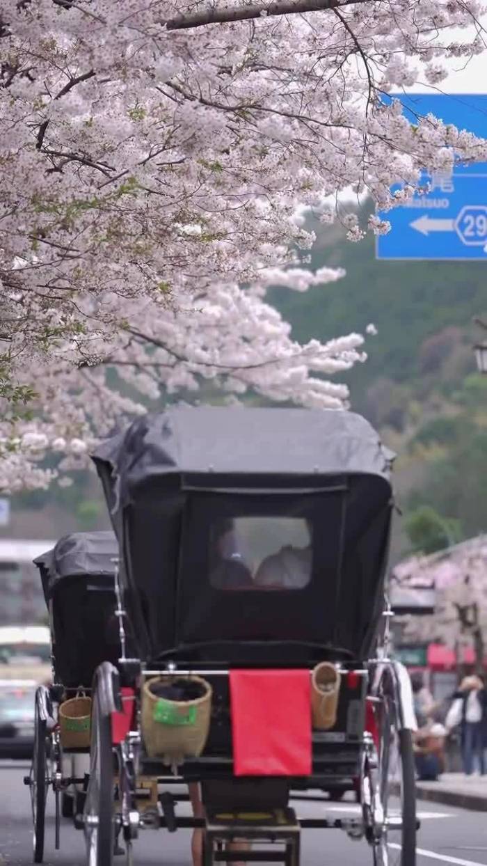 Dịch vụ kéo xe tham quan Kyoto