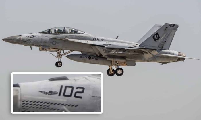 Tiêm kích F/A-18F về căn cứ Lemoore, bang California, Mỹ ngày 1/10. Ảnh: Aviationist