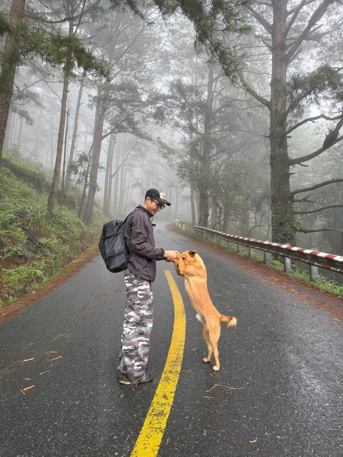 Chó Vàng gặp khách trên cung trekking Lang Biang. Ảnh: Ro Da Quang