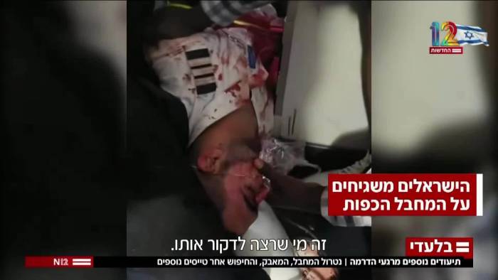 Israel công bố video cảnh hỗn loạn trên máy bay flydubai sau khi cơ trưởng bị tấn công