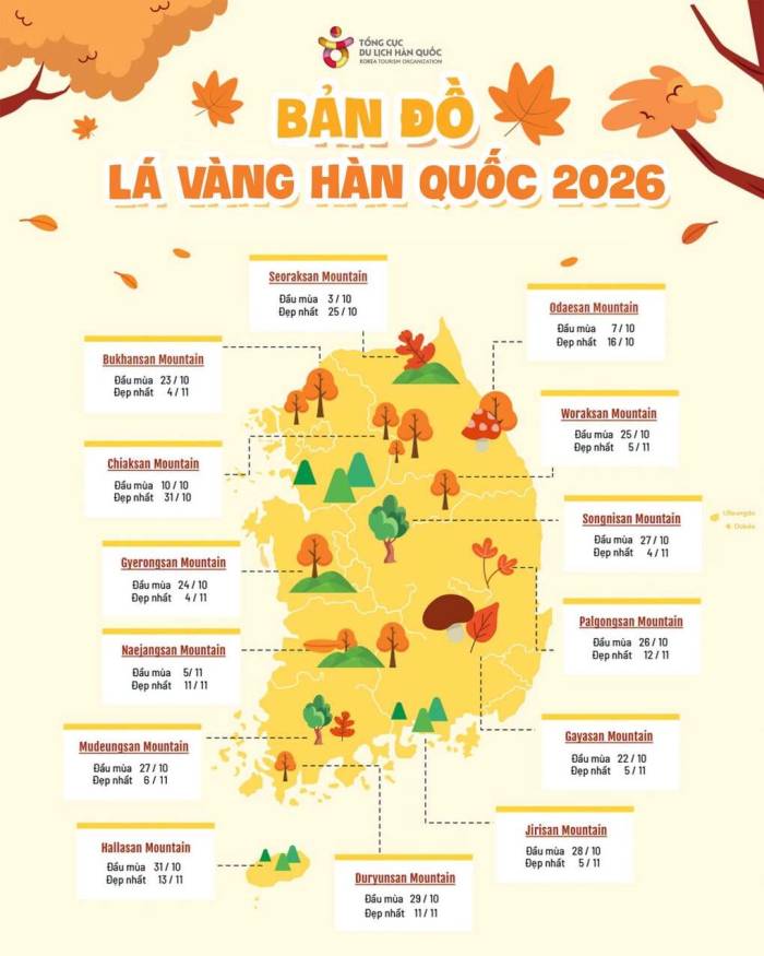 Lịch dự báo mùa lá vàng - lá đỏ ở Hàn Quốc 2026. Nguồn: KTO