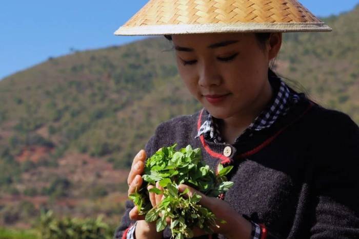 Ảnh minh họa: SCMP