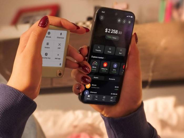 Một vài mẫu ví tiền số do Ledger sản xuất. Ảnh: Ledger