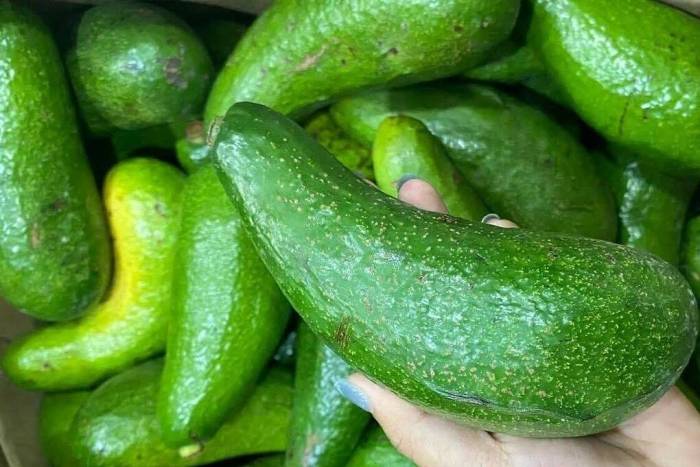 Bơ giàu chất béo lành mạnh nhưng ăn nhiều có thể gây thừa calo. Ảnh: Anh Chi