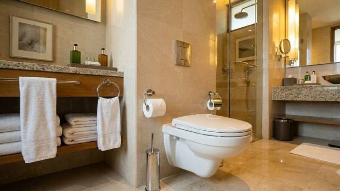 Bác sĩ giải mã nỗi lo lây bệnh tình dục từ bồn cầu khách sạn