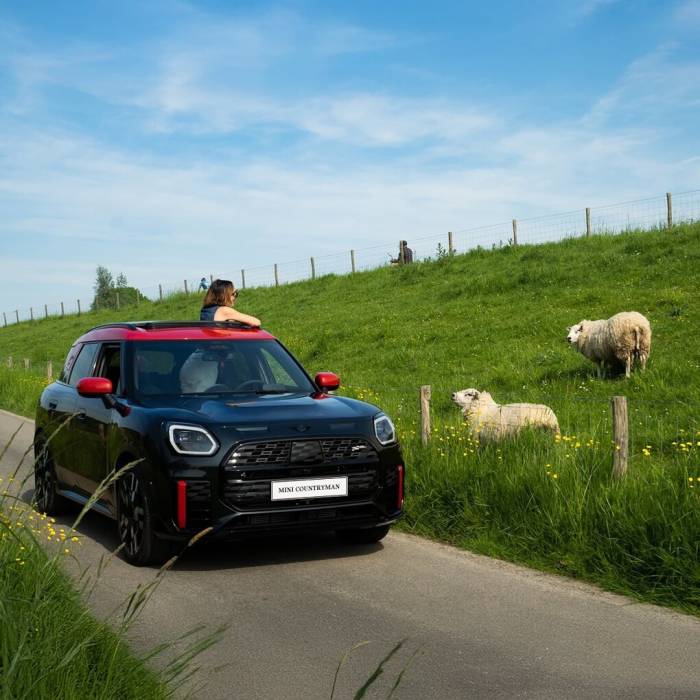 Countryman sở hữu thiết kế gầm cao đa dụng, mang DNA đặc trưng của thương hiệu. Ảnh: Thaco Auto