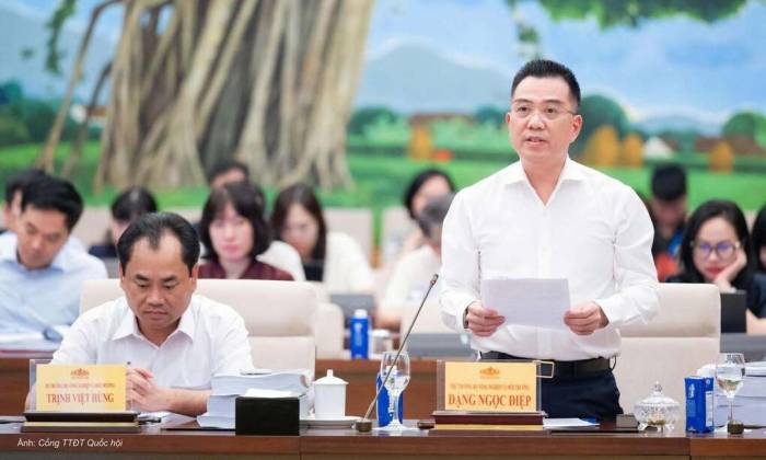 Thứ trưởng Nông nghiệp và Môi trường Đặng Ngọc Điệp trình bày tại phiên họp chiều 1/10. Ảnh: Cổng Thông tin điện tử Quốc hội